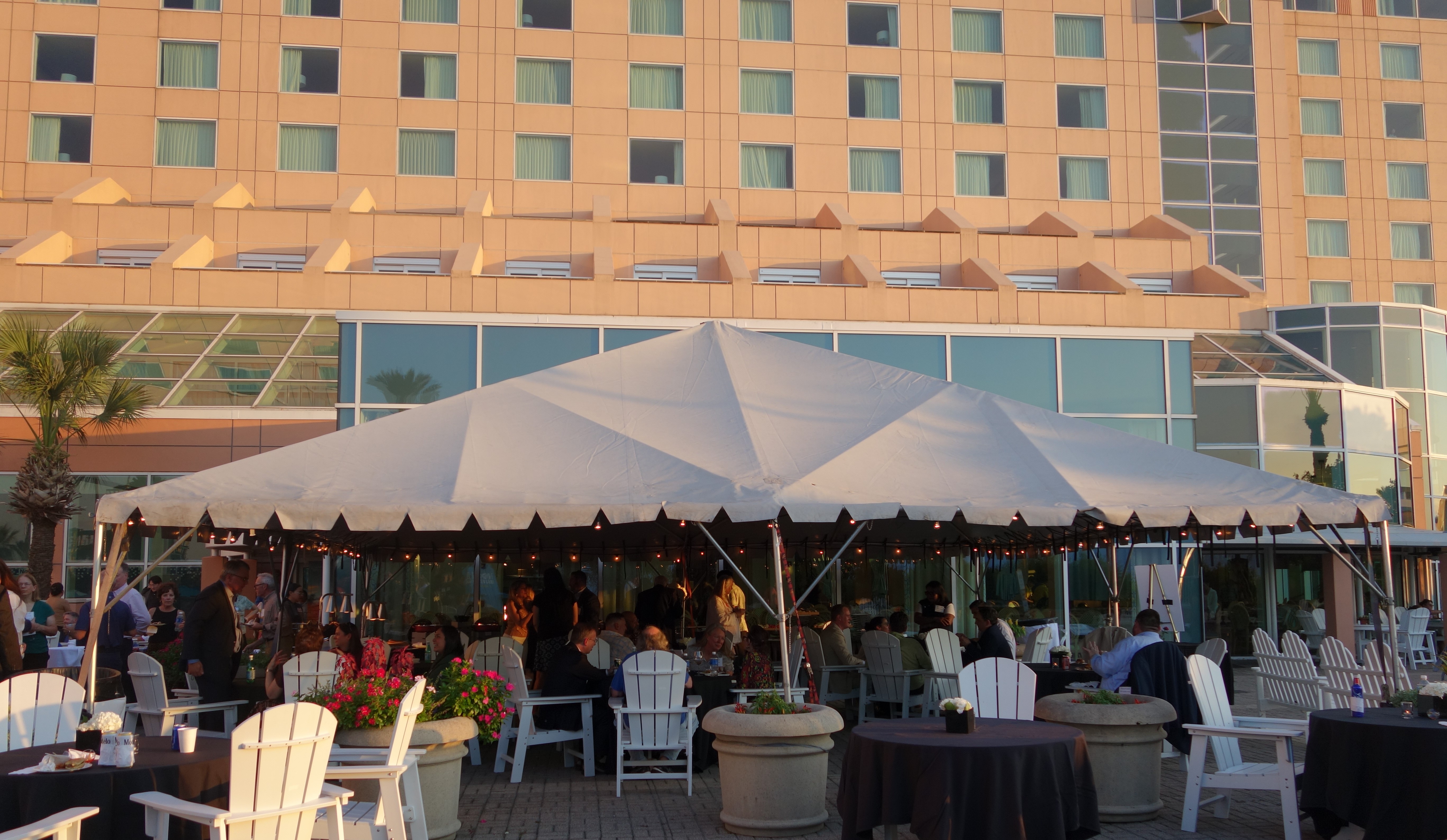 41ST ANNUAL INSTITUTE ON INTELLECTUAL PROPERTY LAW